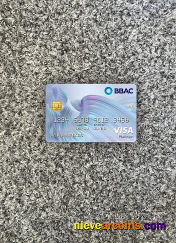 Lebanon BBAC visa platinum card photolook